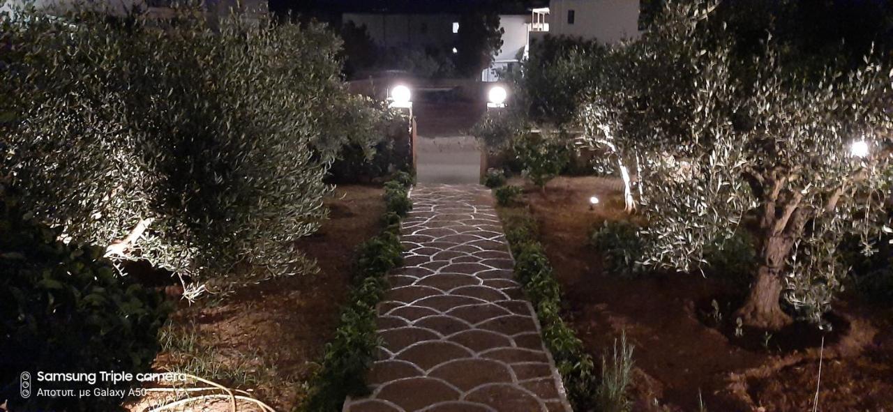Ranias House Apartman Andíparosz Kültér fotó